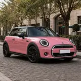 Rouge Powder Pink Vinyl Wrap 3