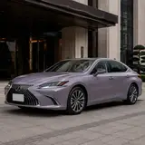 Misty Grey Purple vehicle appearance reference