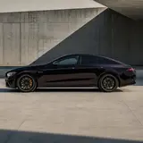 Black Rose Color PPF 5