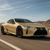 Champagne Gold (Light) Color PPF 11