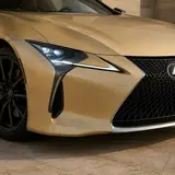 Champagne Gold (Light) Color PPF 8