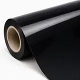 Black Pearl film roll reference